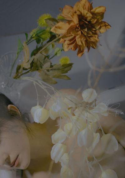 欧美减肥动态图_HD免费高清观看